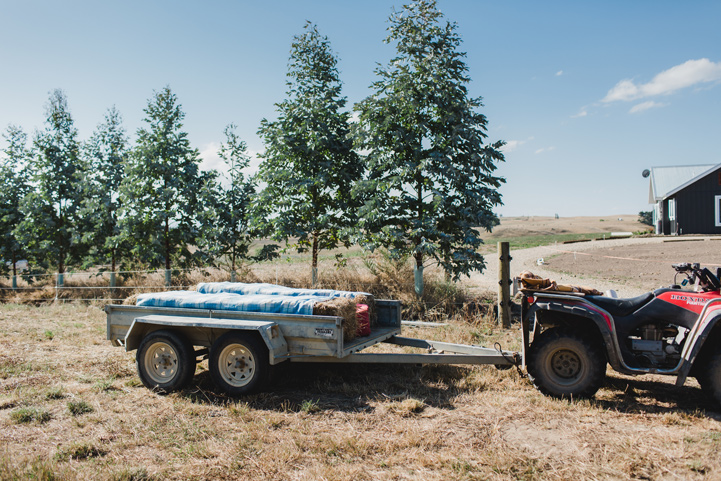 043-melissa_mills_photography_farm_wedding_new_zealand.jpg