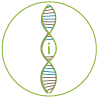 BioInformatics.png