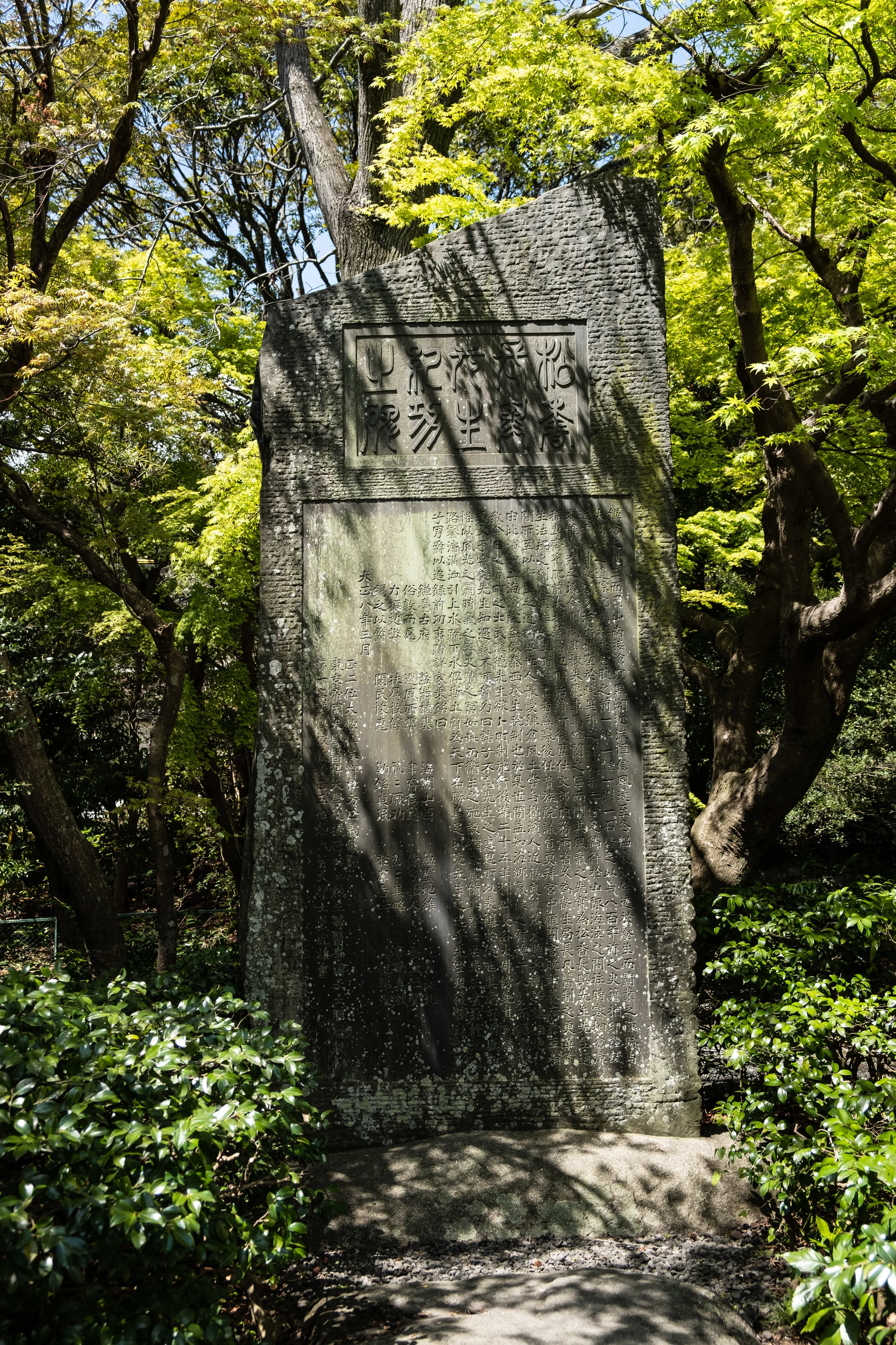 Kotoku In Shrine - Kamakura