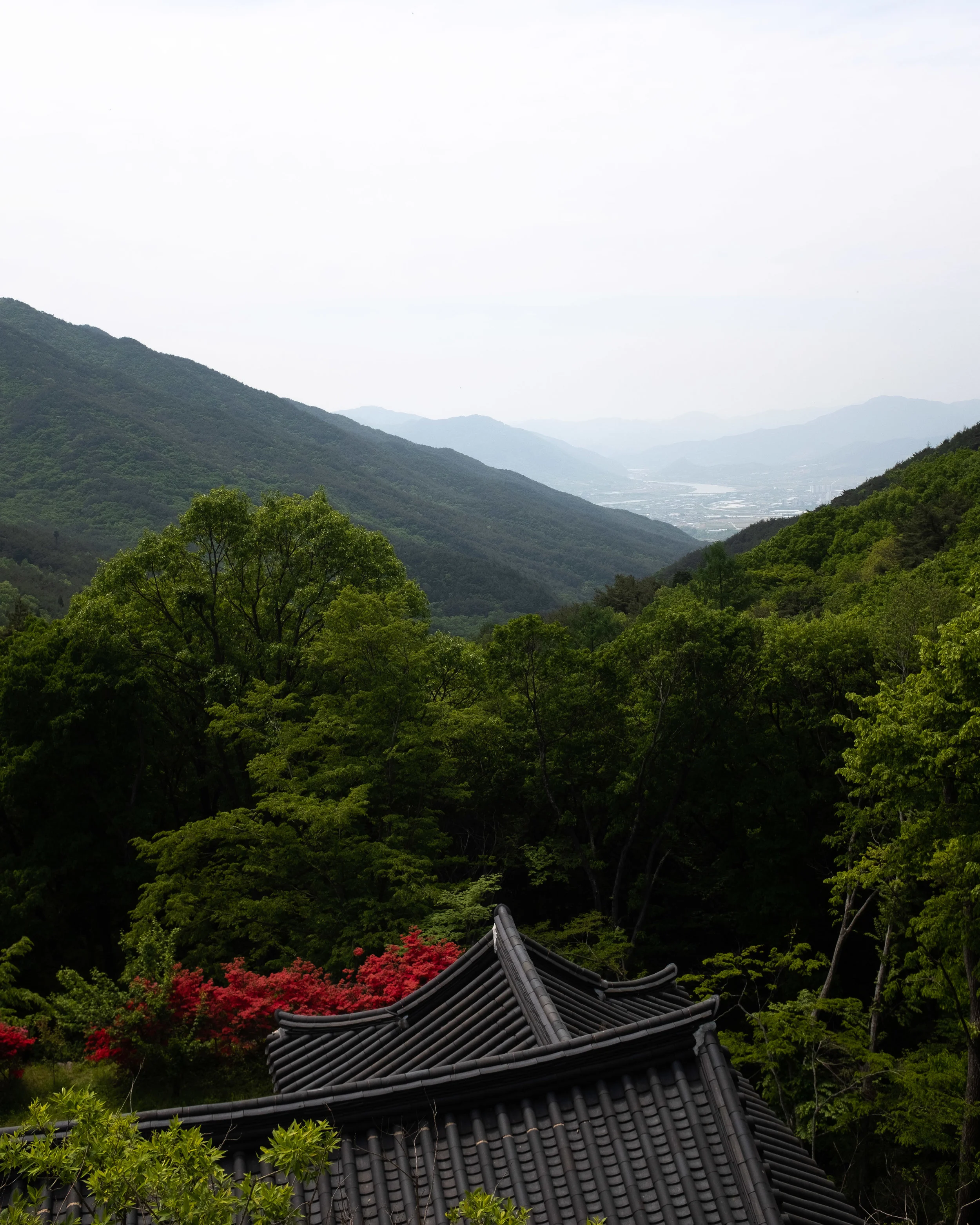 View over National Park - Guryegu