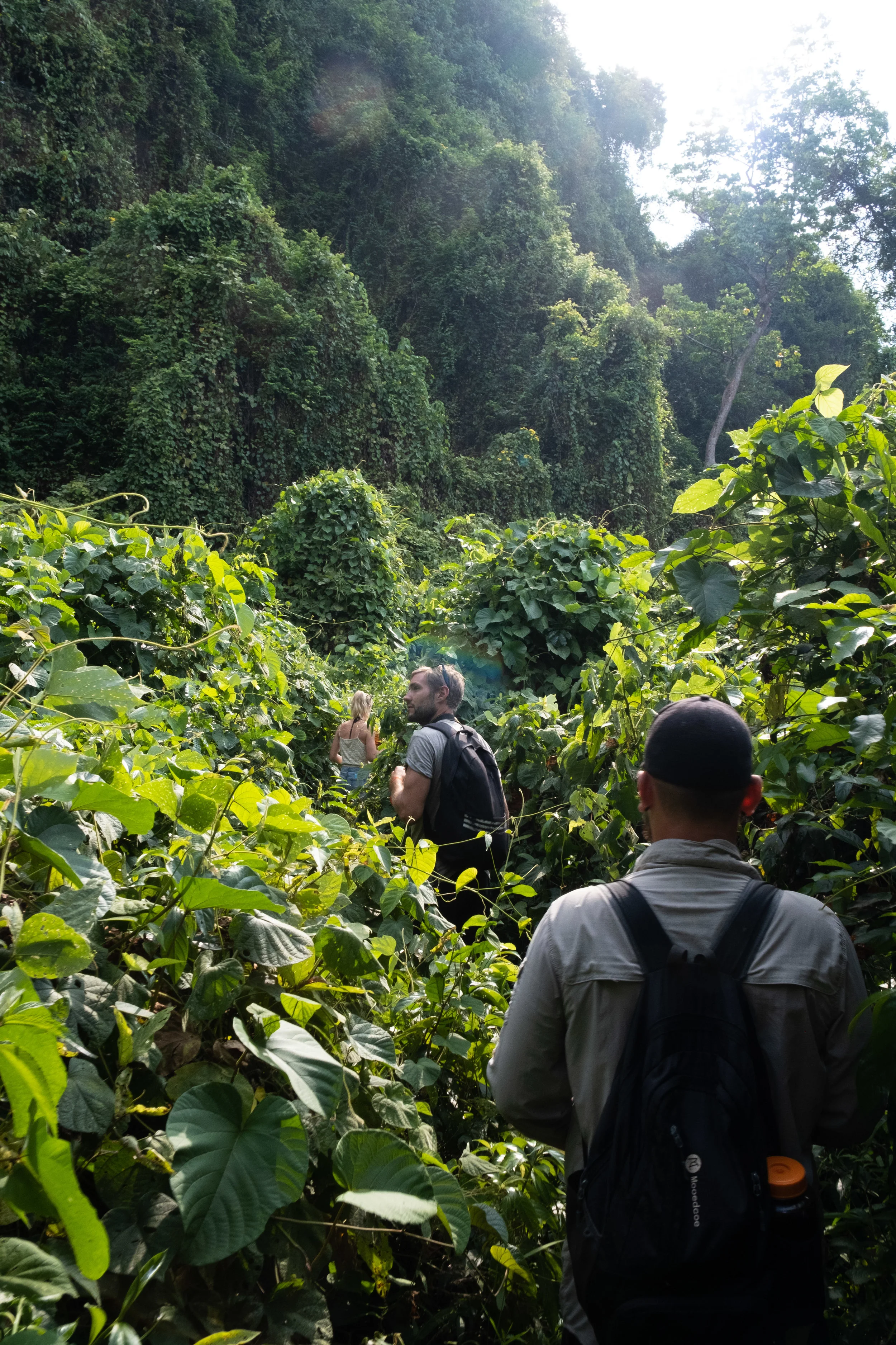 Jungle Tracking - Phong Nah