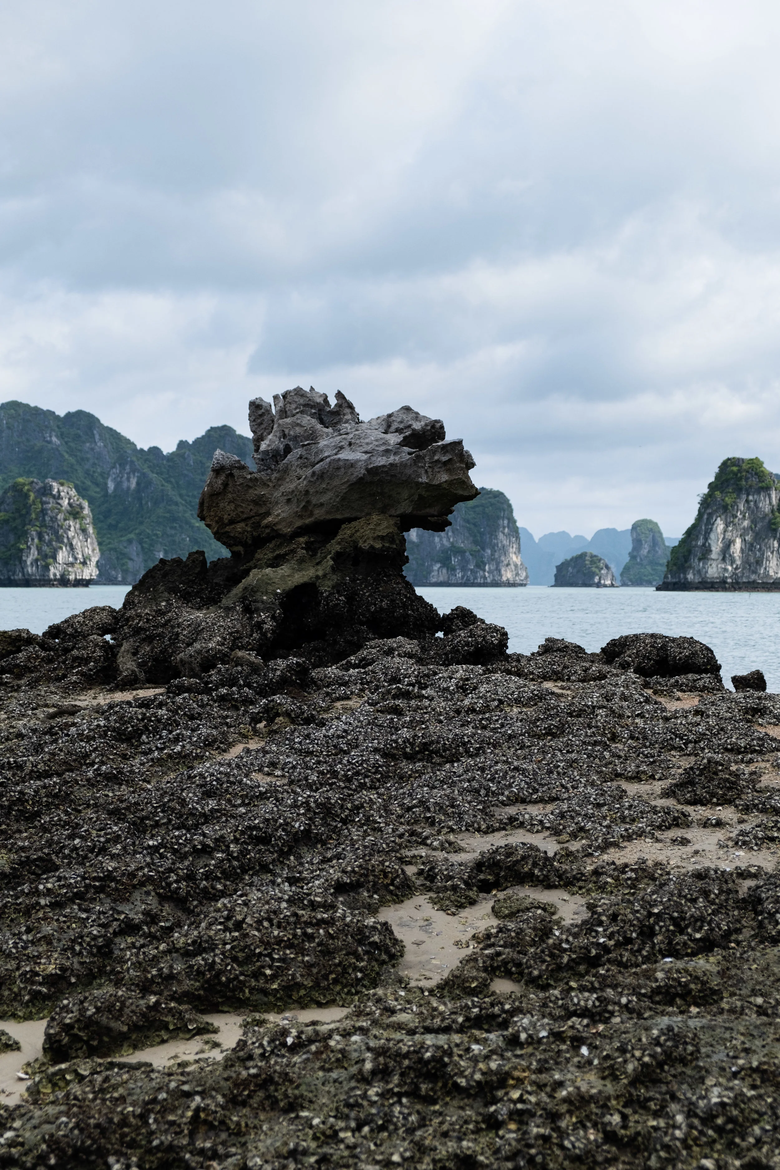 Rock at Bay Tu Long Bay
