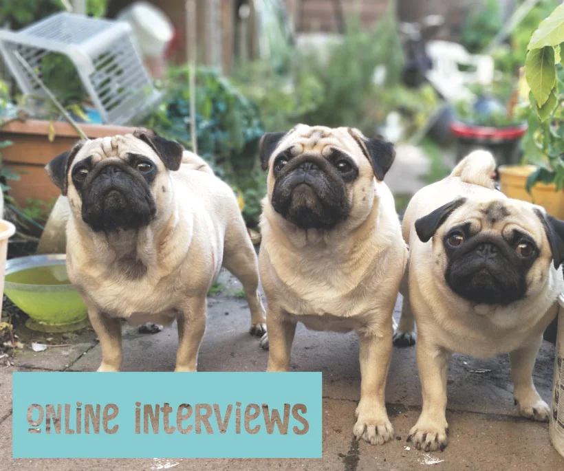 Online-interviews-pic.jpg