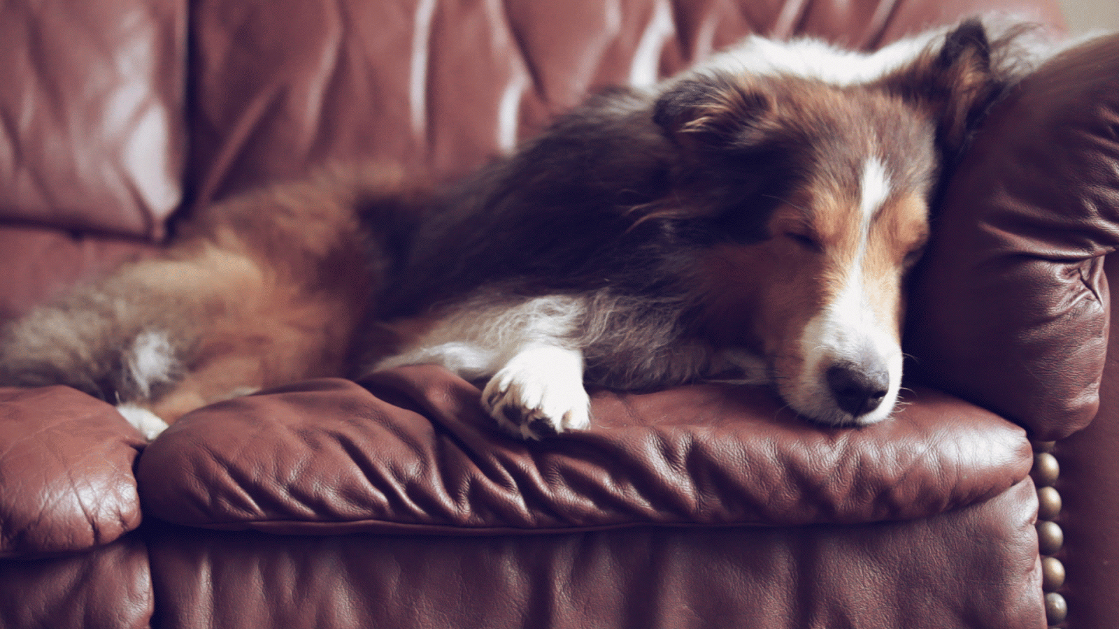 Virtually Brilliant.