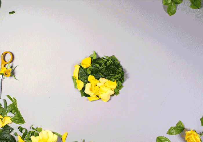 Strategy, insights and innovation for the Yogurt category*