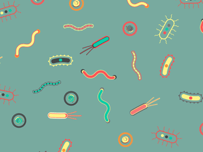 The Microbiome