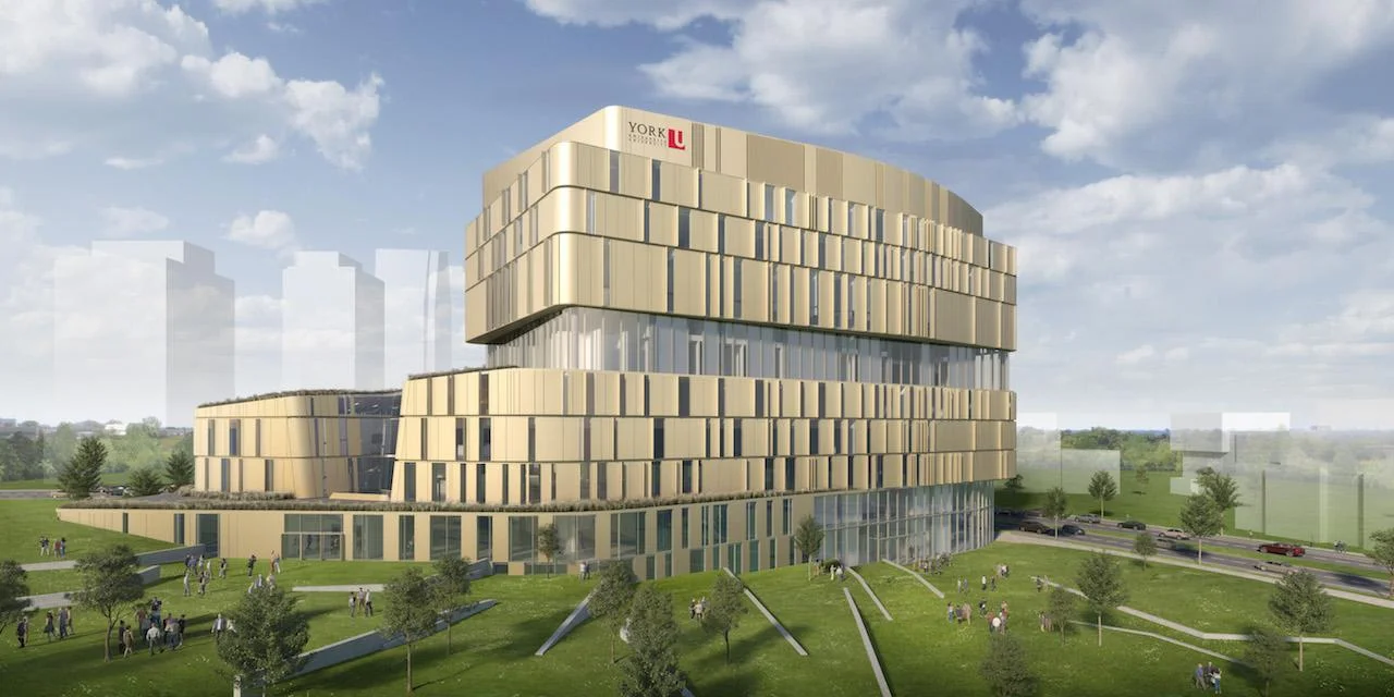 约克大学 York University