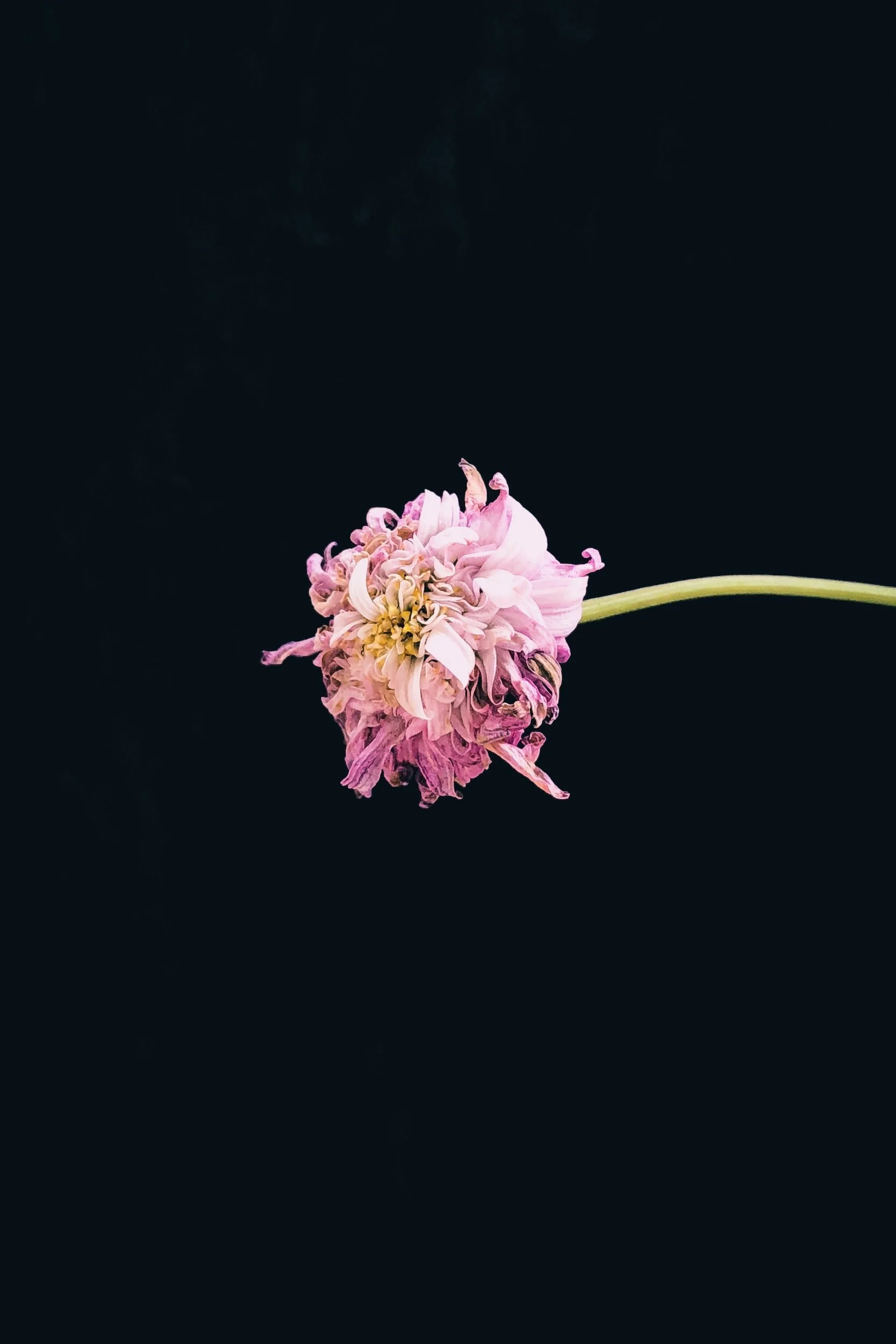 申请人不幸过世，亲属移民案只能“一笔勾销”？！