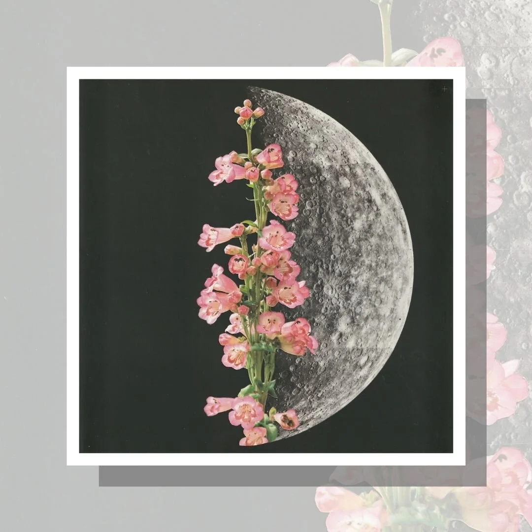 Half Bloom