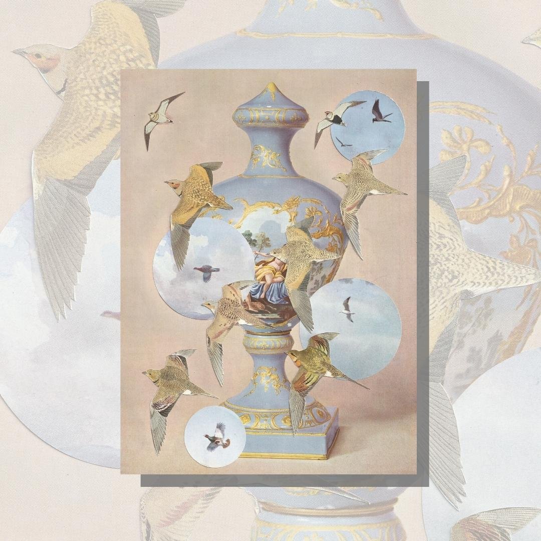 The Darling Birds of May