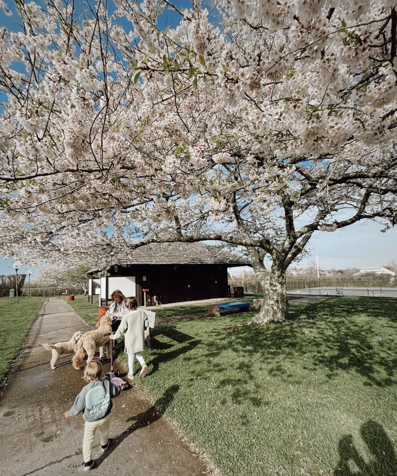 Screen Shot 2024-10-15 at 11.26.07 AM.png