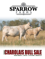 Bull Sale Catalogue 2018