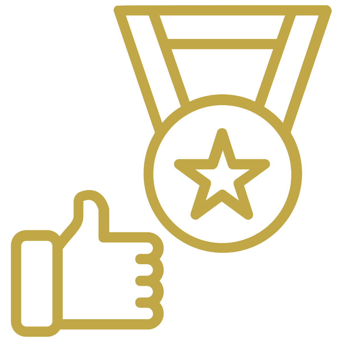 noun_success_1876446_c2a746.png