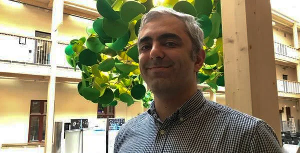 rezam.jpg