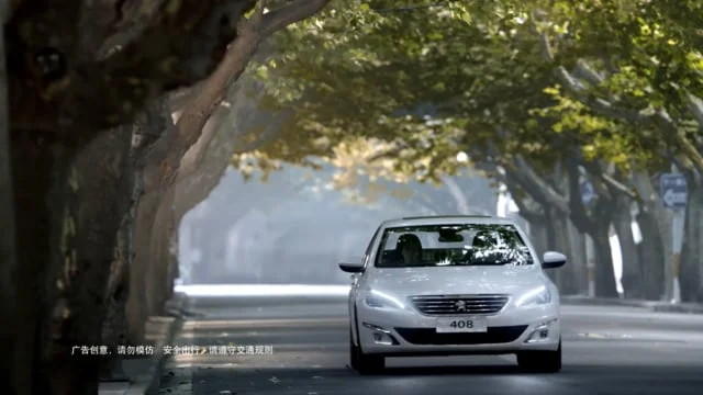 Peugeot 408 Magic Pen