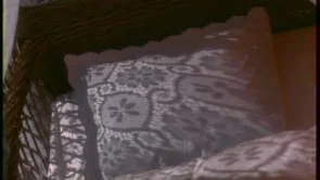 AMNESTY INTERNATIONAL