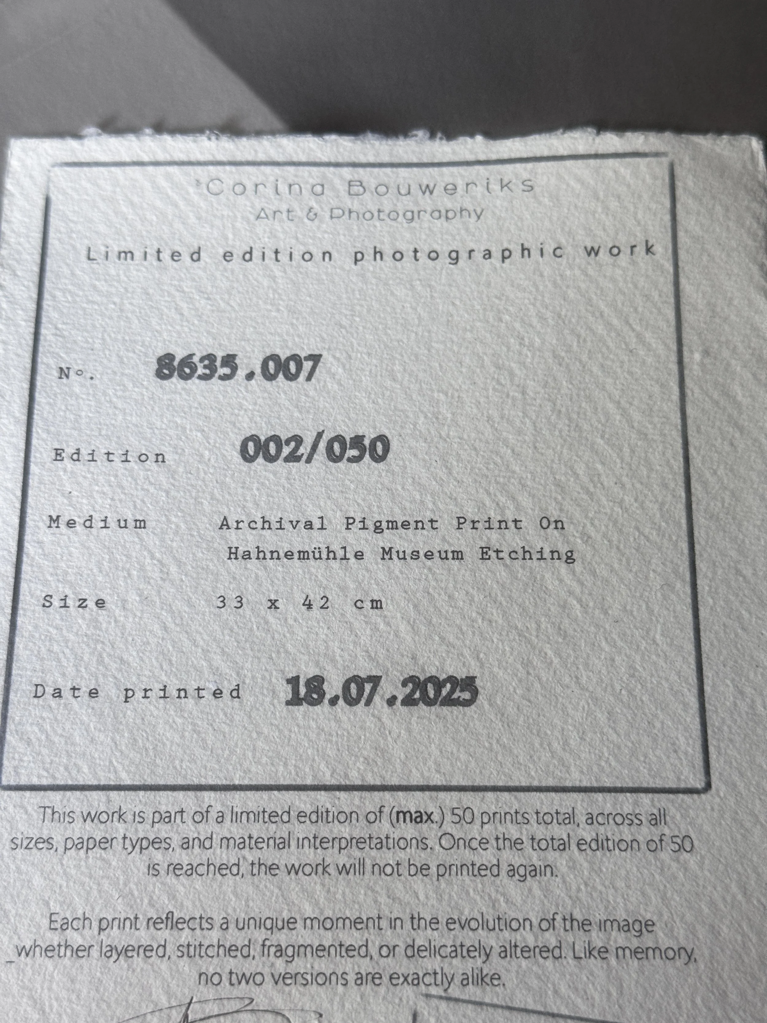 8635-007 - details 005.JPG