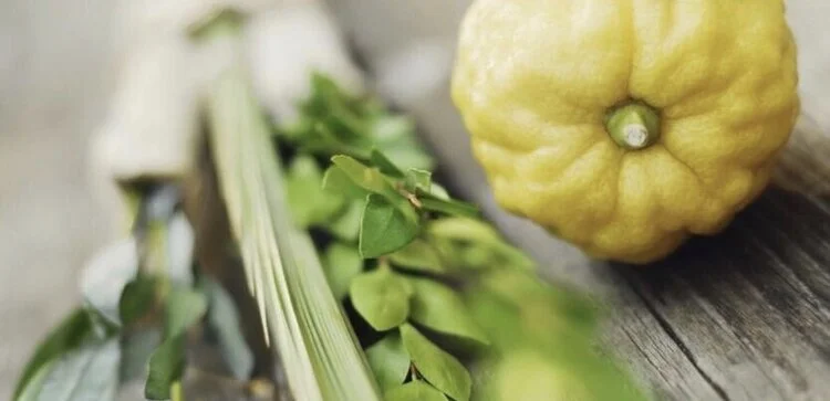 Sukkot y las 4 Especies