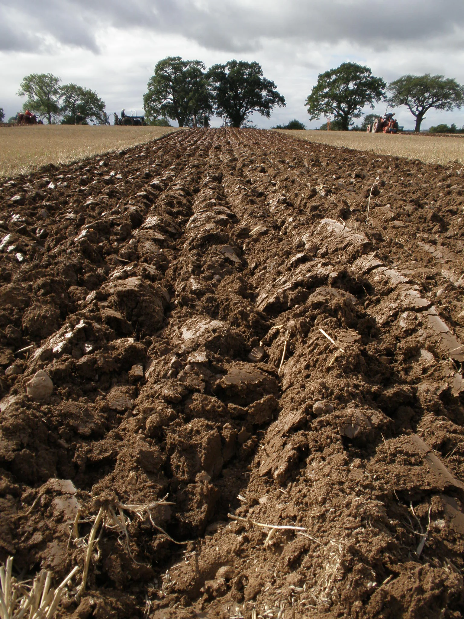 New Research: Synthetic Nitrogen Destroys Soil Carbon, Undermines Soil Health