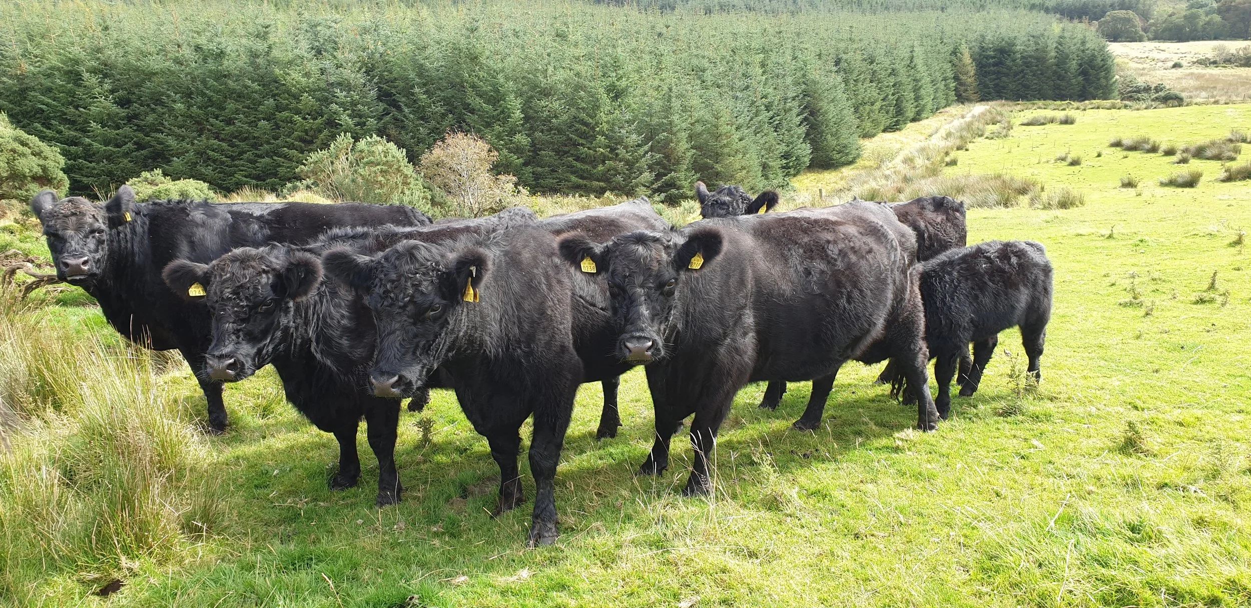 Farming For Nature Ambassadors 2019 