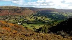 3,600 scientists call for CAP overhaul to protect nature