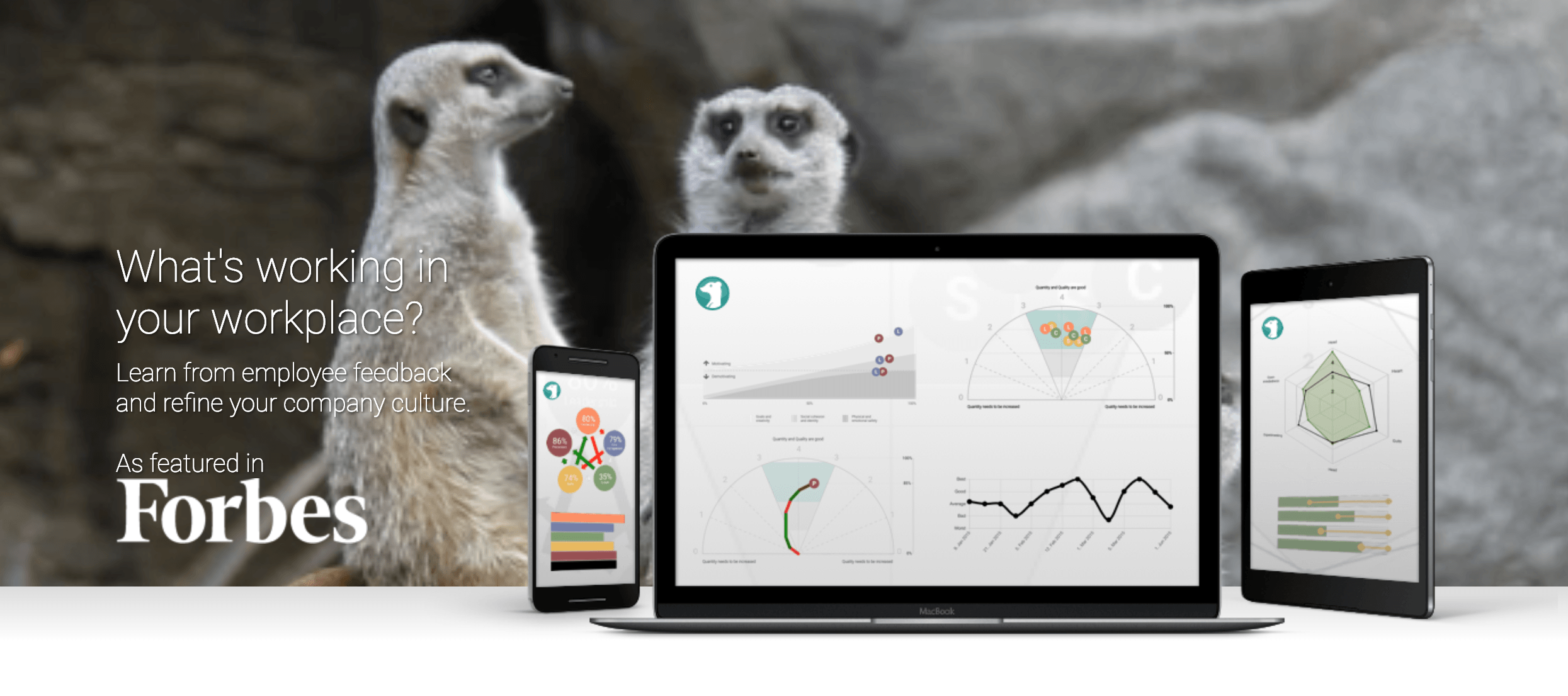 Screenshot-2019-03-13-at-11.20.45.png