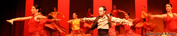 Danza Viva Spanish Dance