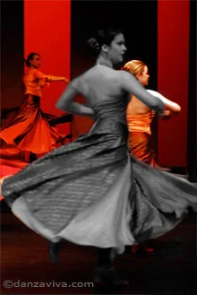 Danza Viva Spanish Dance