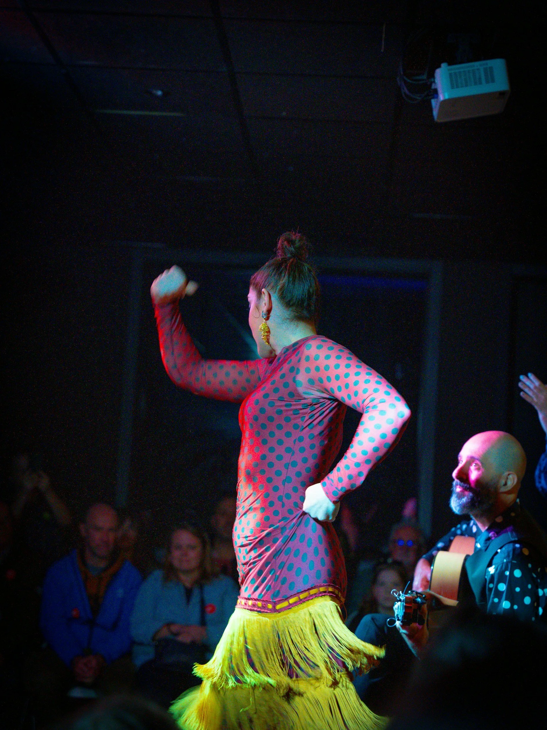 Flamenco dancer performing on stage