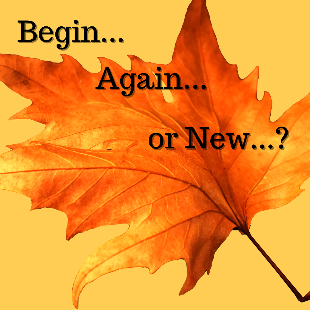 Begin... Again... or New...?