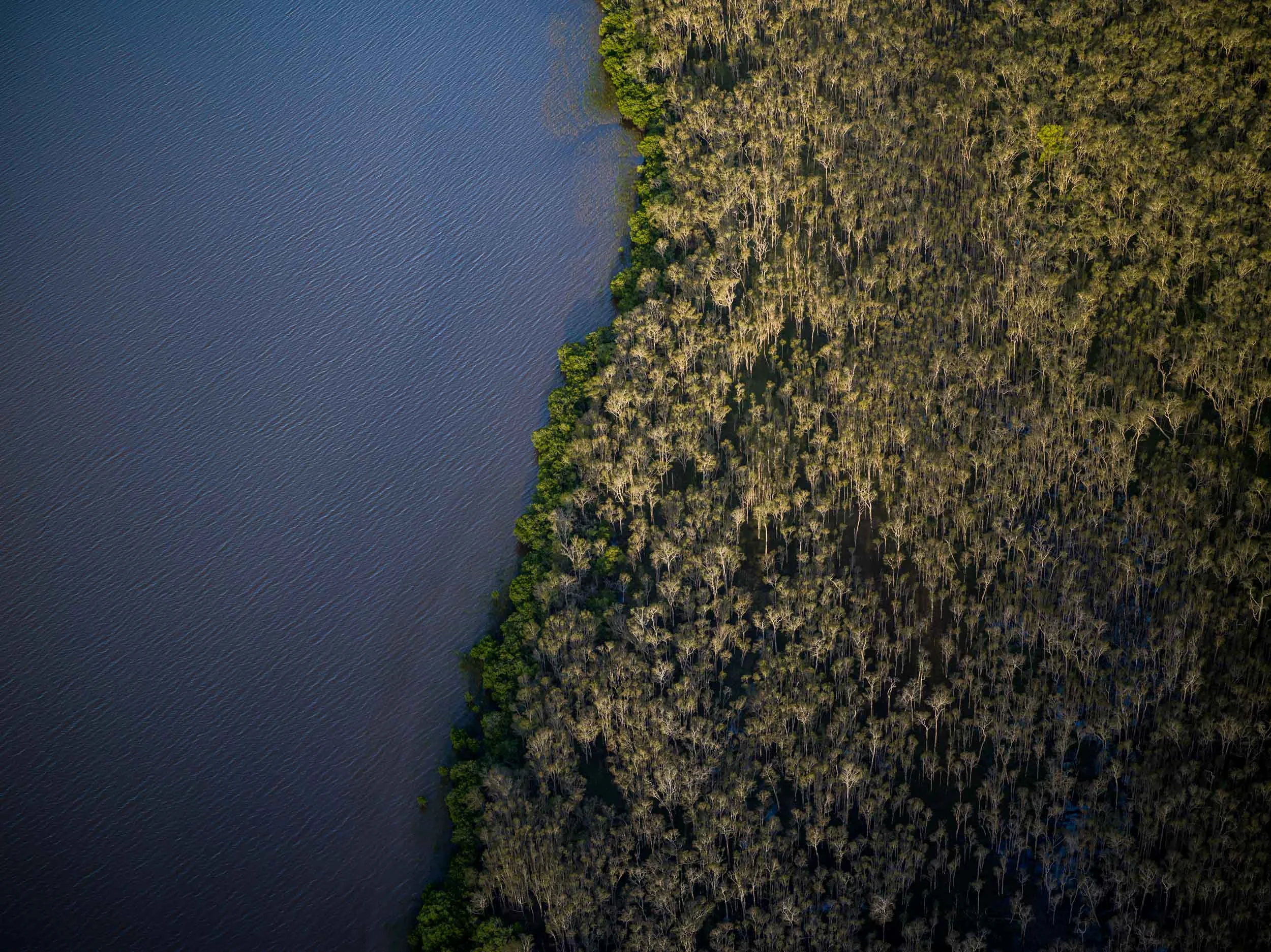 S-0008032.jpg