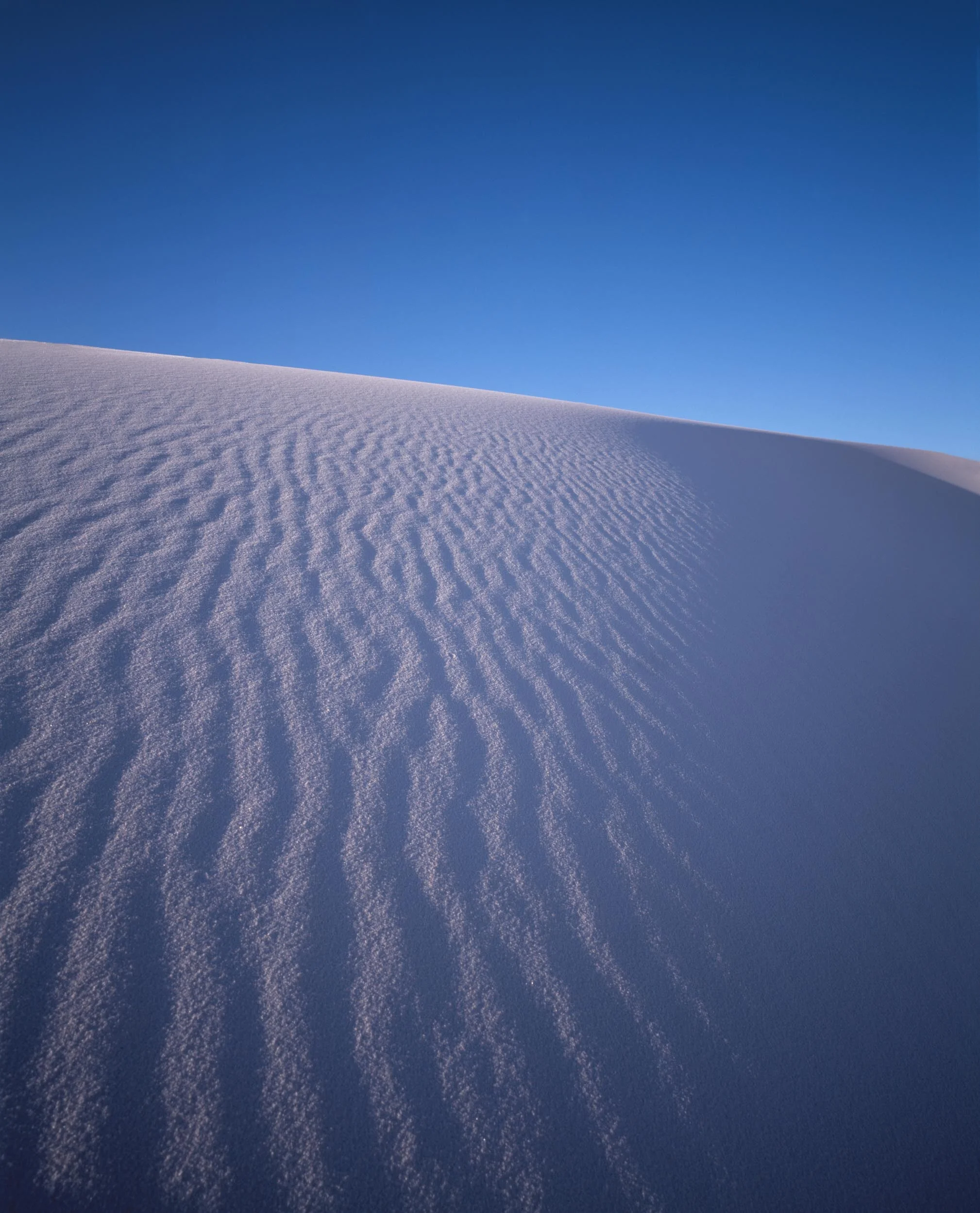 Dune 4.jpg