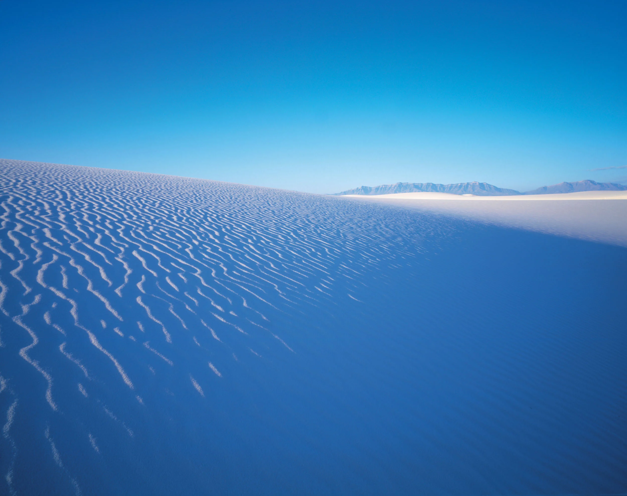 Dune 25.jpg