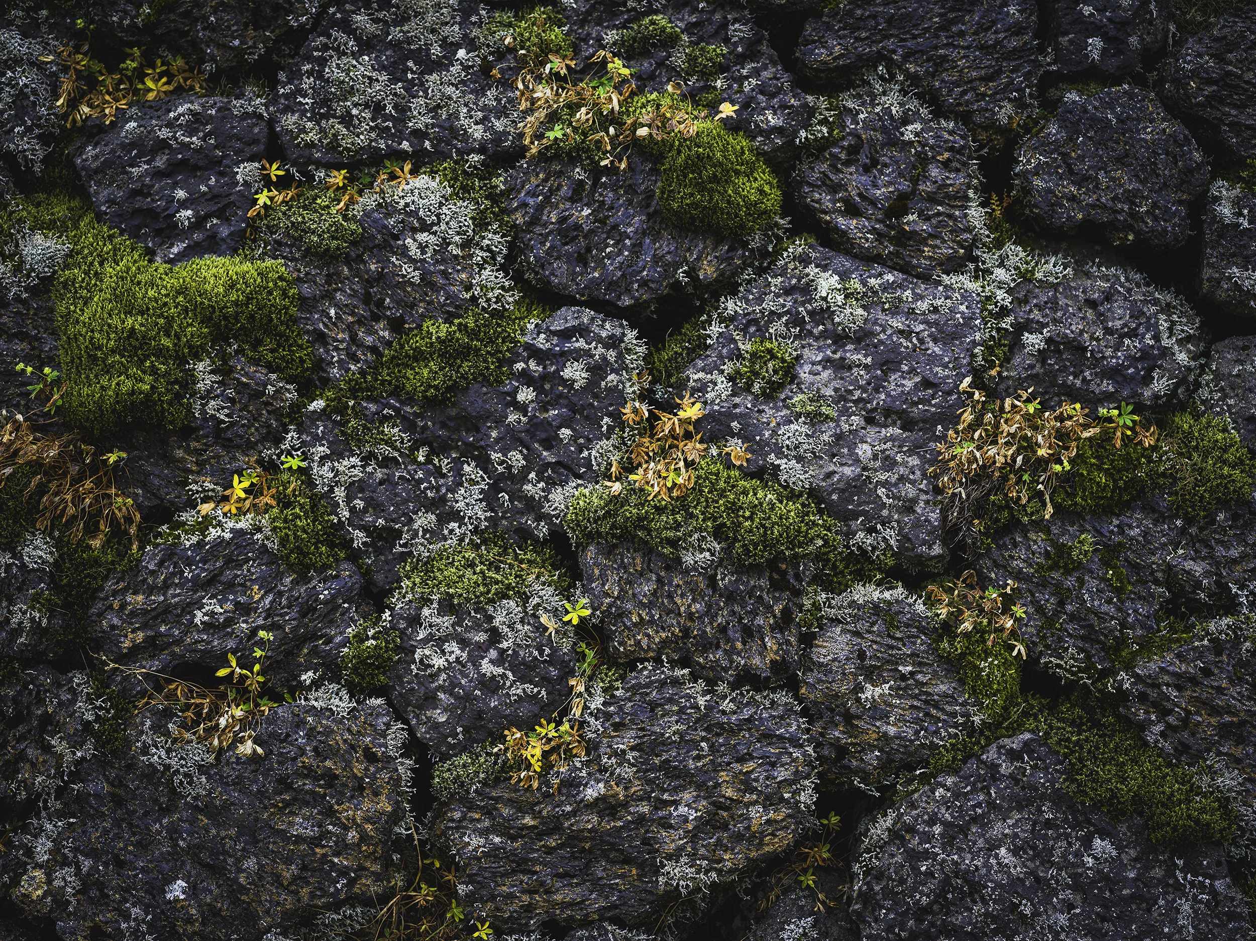 Iceland_Church_wall_21 copy 2.jpg