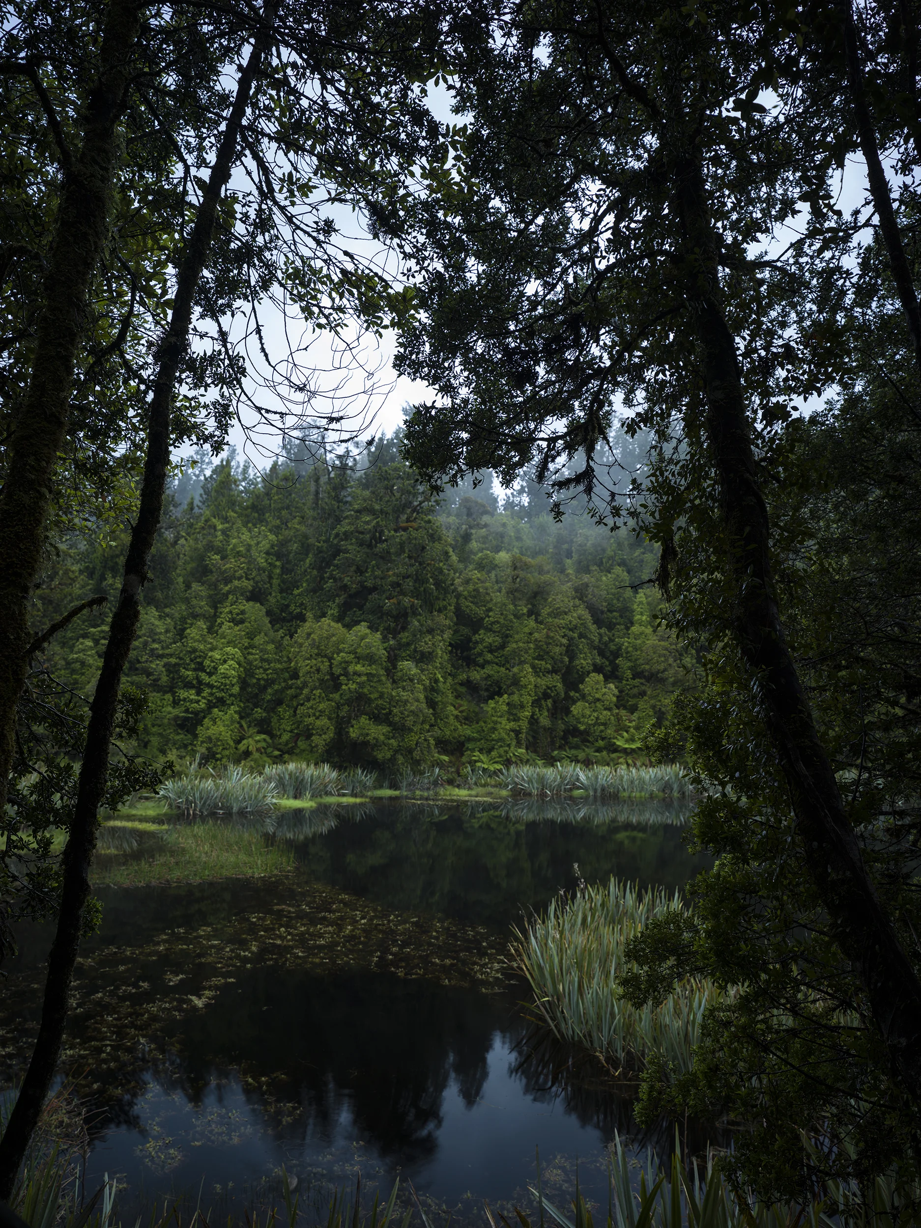 B0004770.jpg