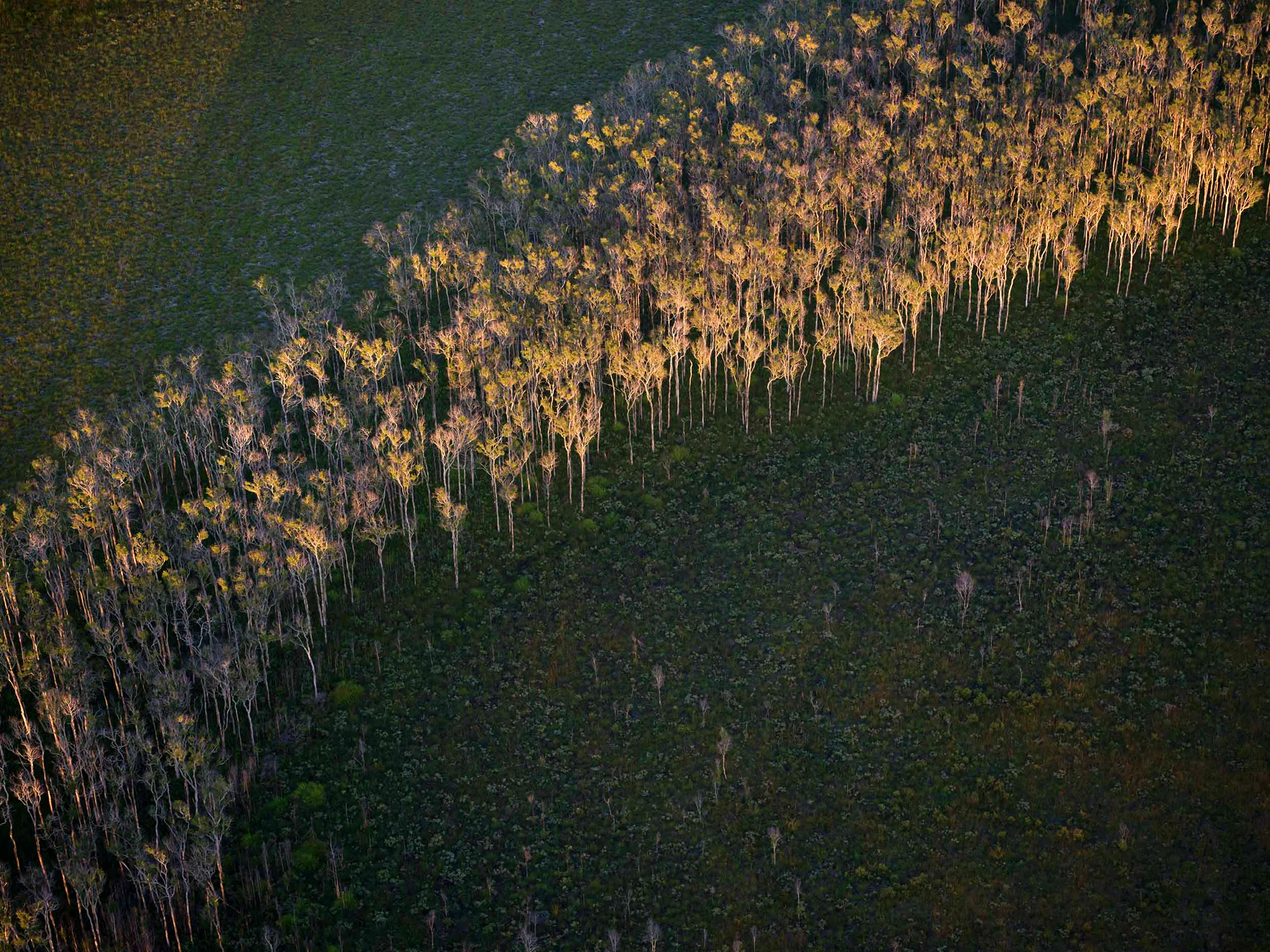 S-0008078.jpg