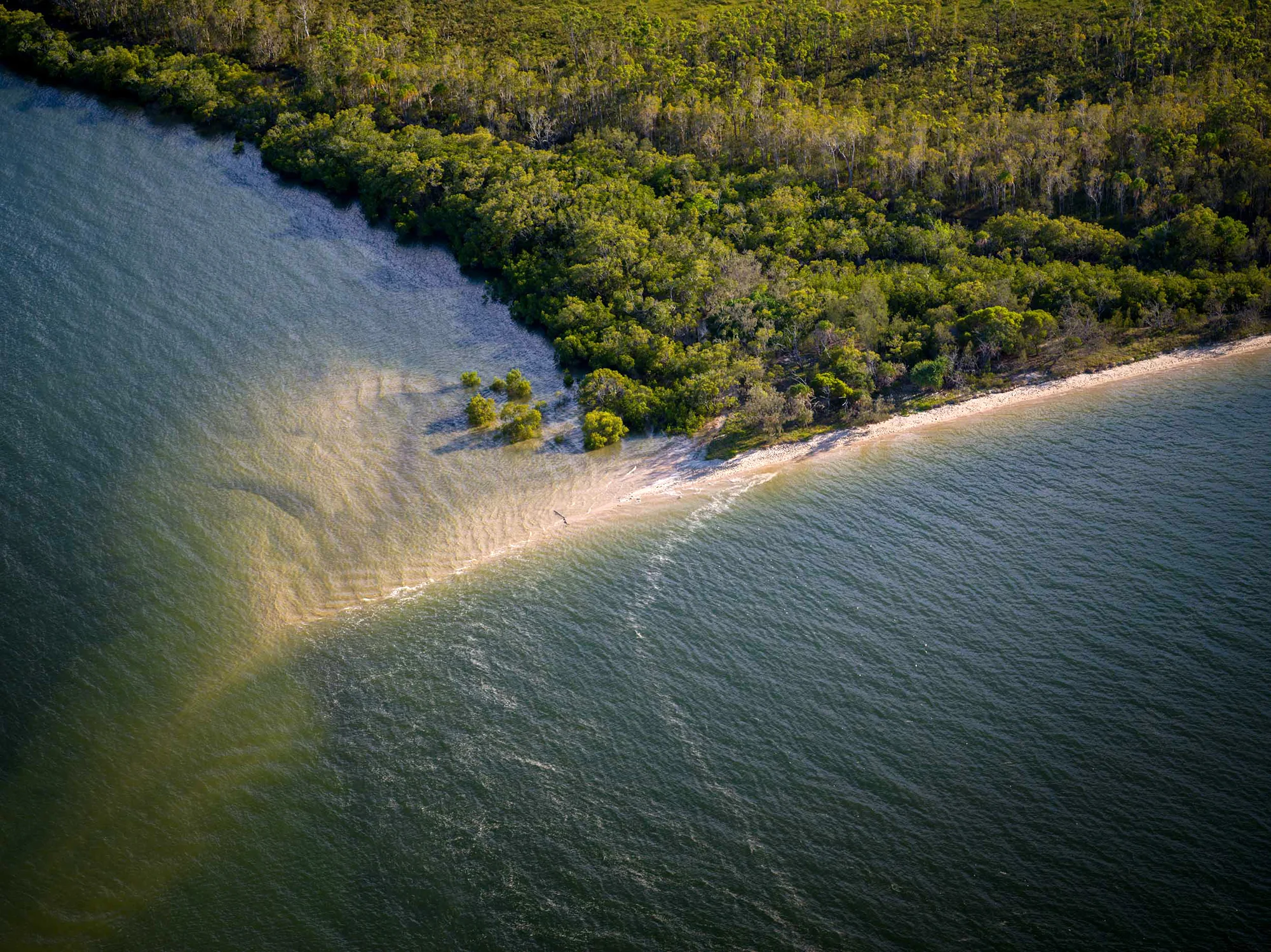 S-0008387.jpg