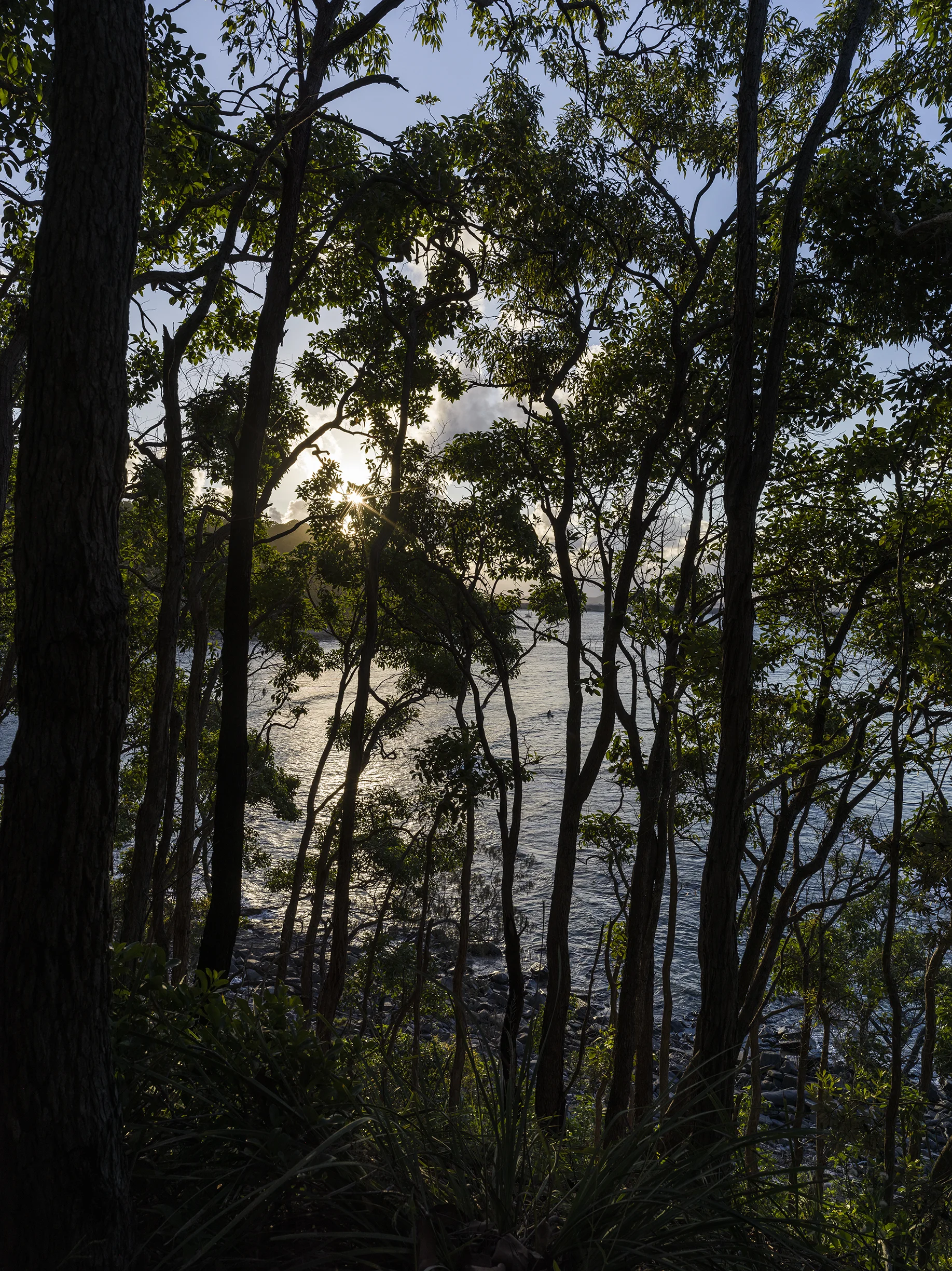 B0007724.jpg