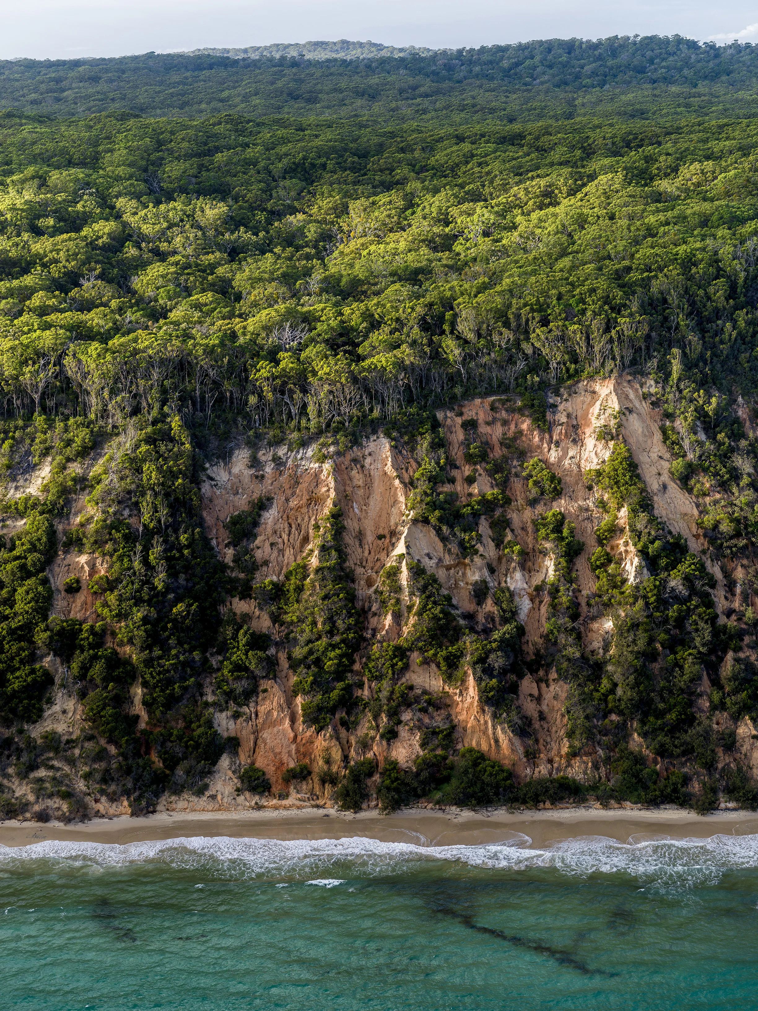 B0008275.jpg