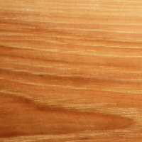 Hickory