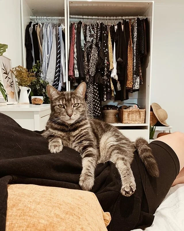 Just a pair of furry folk trying to keep cool in this heat 🥵
In other news, I can&rsquo;t believe I&rsquo;m 30 weeks already - in my head I still think I&rsquo;m 14 weeks, but my body makes me feel about 40 weeks 😂 and as Tim just so perfectly summed up this milestone &ldquo;if you were on Strictly Come Dancing, you&rsquo;d have made it to Blackpool,&rdquo;. So there&rsquo;s that.