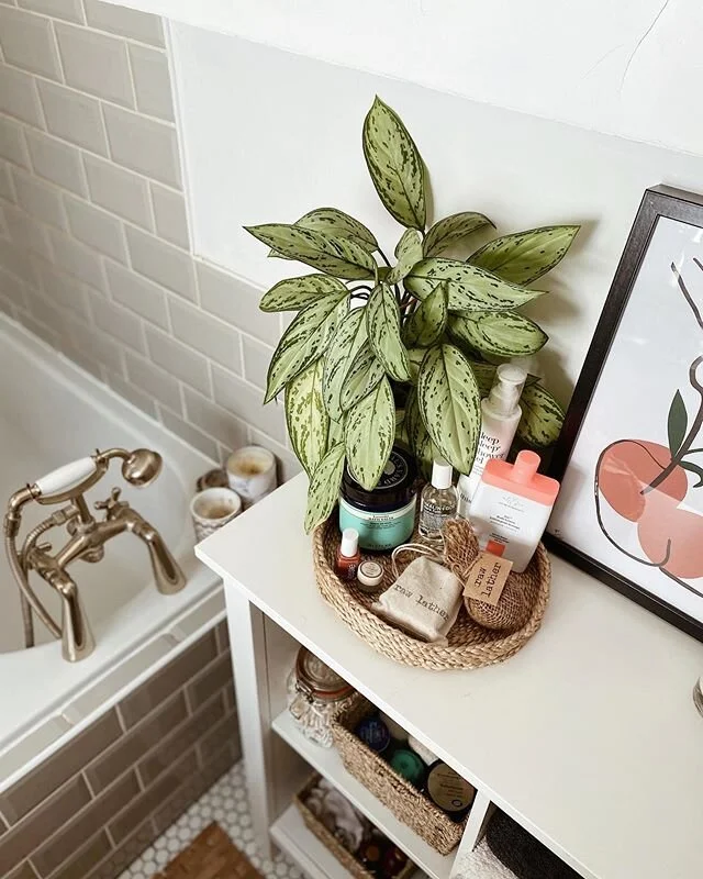 I don&rsquo;t think there&rsquo;s an hour on the clock that I&rsquo;ve not seen these last few weeks - sleep in the third trimester is real fun huh? 😅 but alas, I&rsquo;m getting myself fresh and fancy (as fresh and fancy as a pregnant woman in this heat can get) as I&rsquo;ve got a garden date with Mama Mcfred who&rsquo;s coming down to see me today followed by a walk in the woods. Oh the contrast of busy days in 2019 to what I now think is a full on day in 2020...!