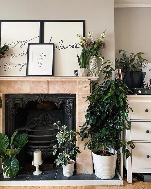 2.30pm today was my favourite part of the day. Cause I took a cream cake into the bath with me, and knew that if ever there was a time that nobody could question me about it, then it was exactly that moment. And it was delightful 😏