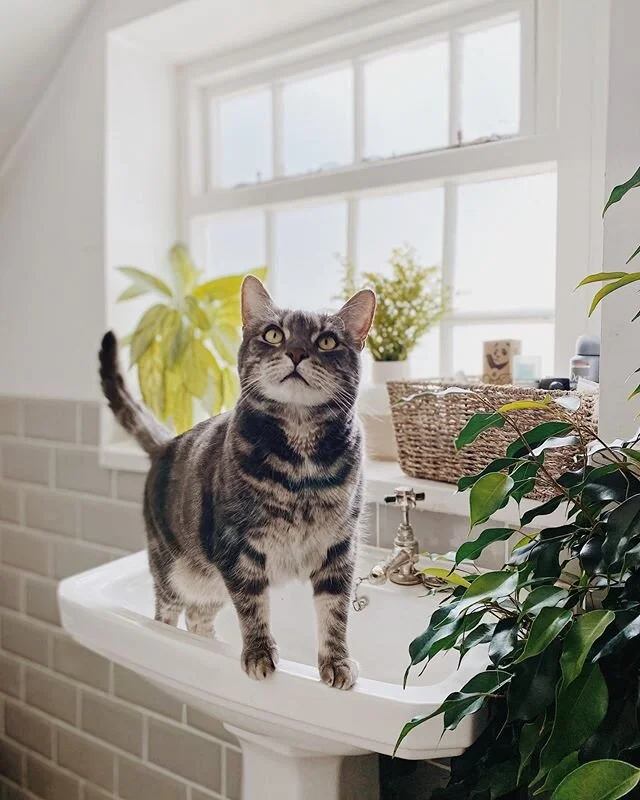 Might not be out in the pubs and clubs, but you can bet I still go to the toilet at home as a twosome... 😏😂