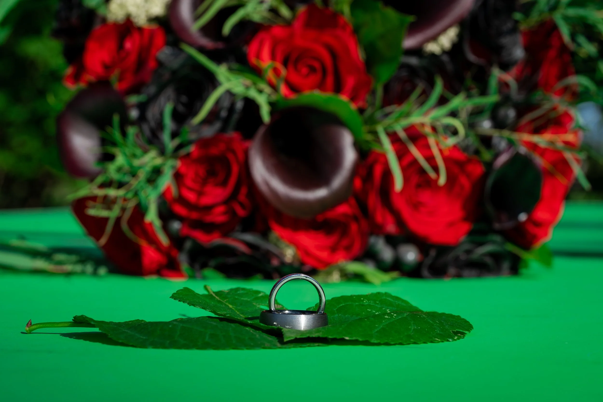 2NG05977.jpg