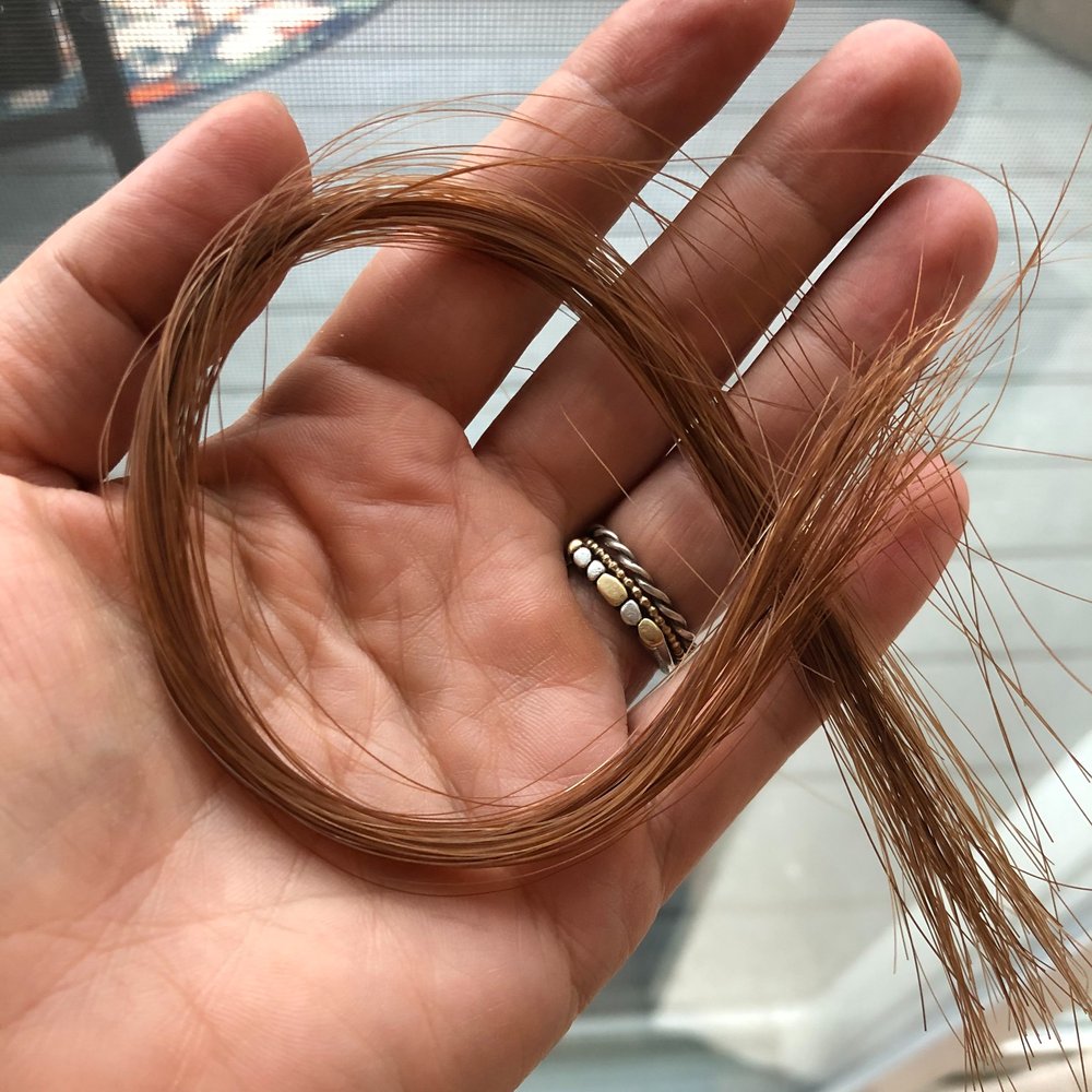 Vertical Horse Hair Pendant — The Treasured Horse
