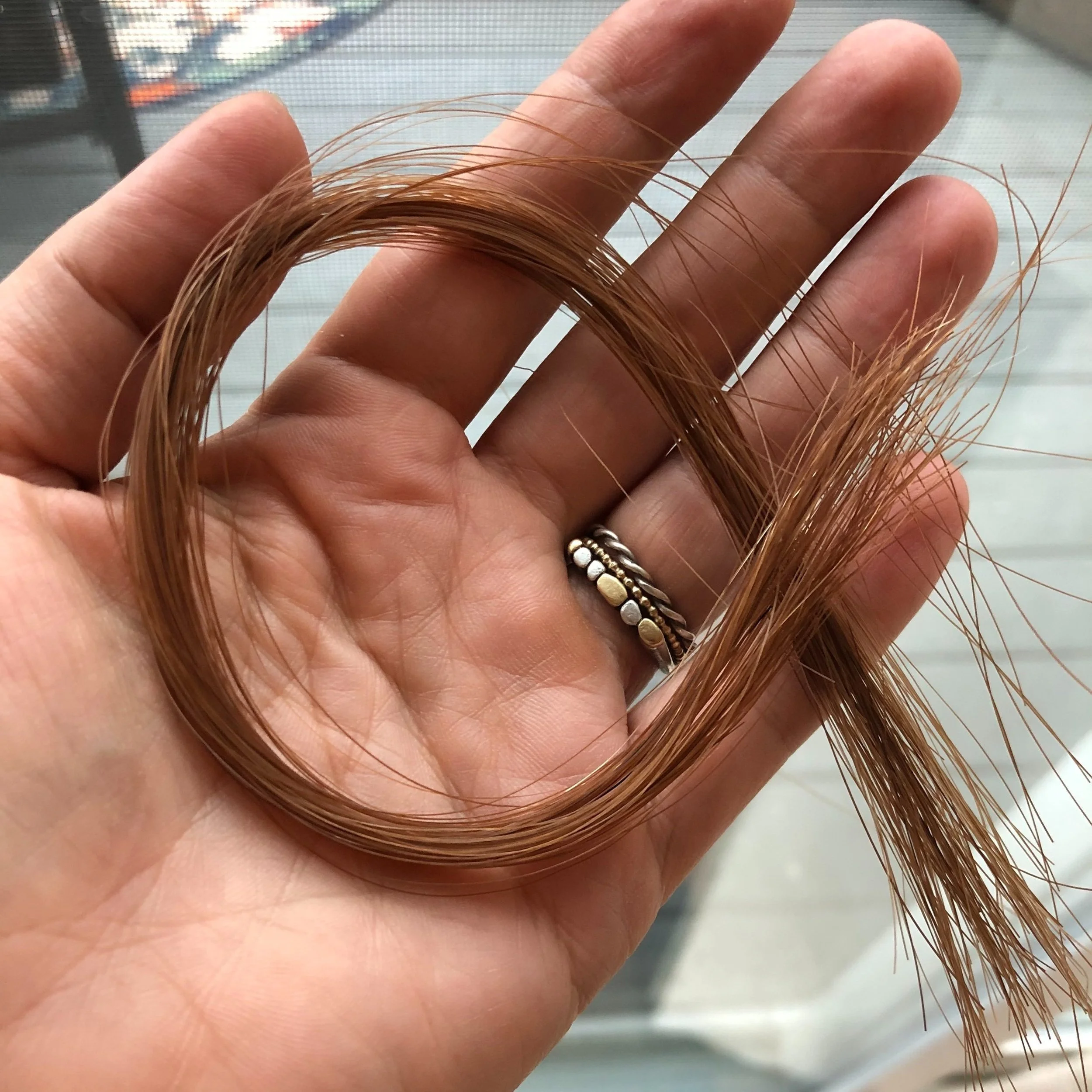 Horse Hair in the palm of person's hand