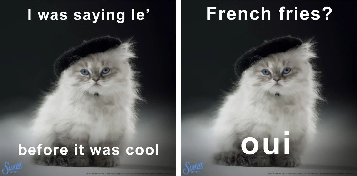 kittenMeme2.jpg