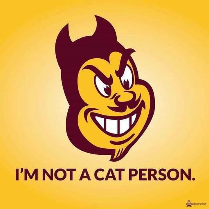 FB_IMG_1543124585878.jpg