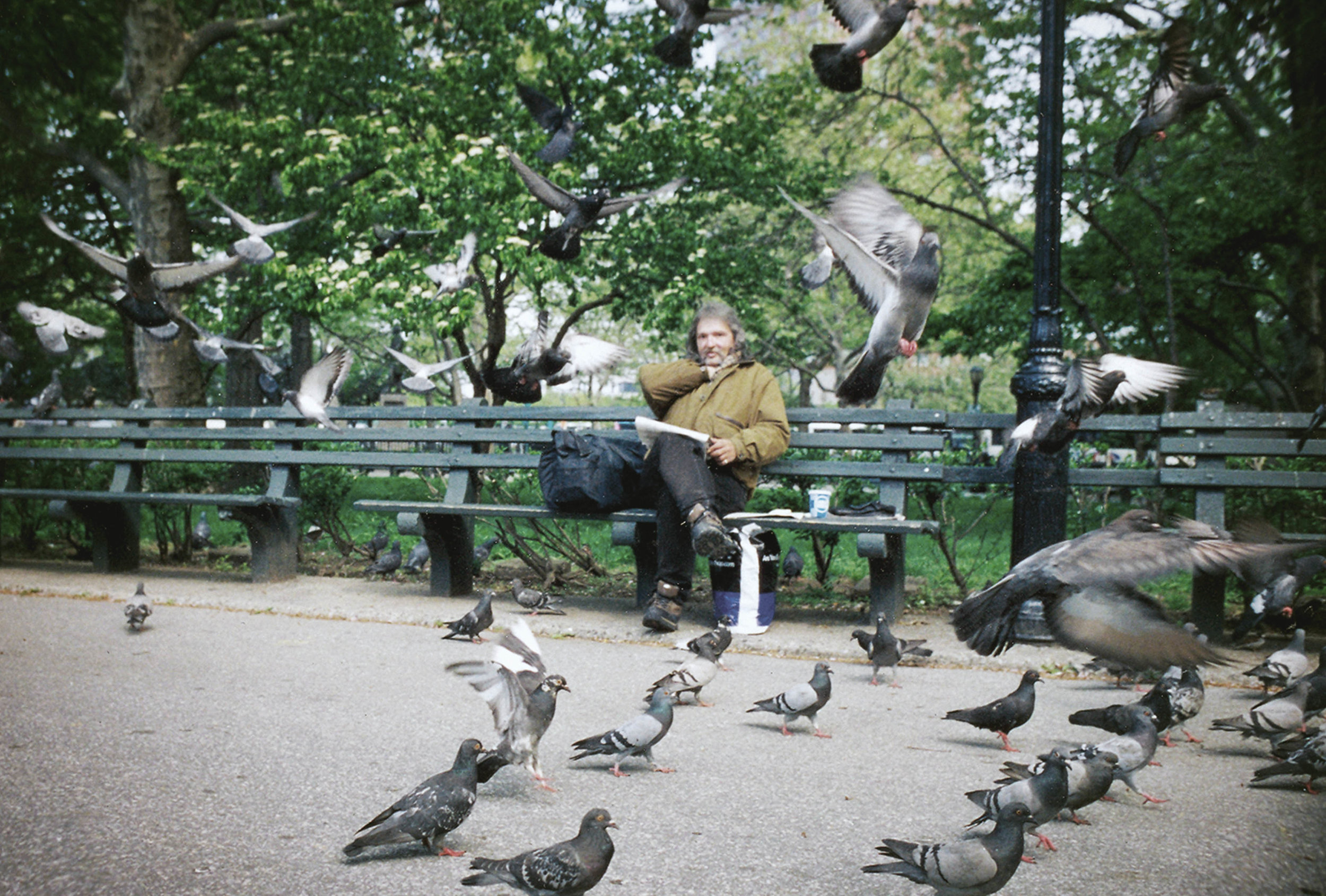 shane_deruise_alleyways_bird_man.jpg